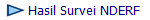  Hasil Survei NDERF 