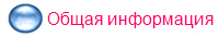 Общая информация