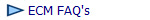  ECM FAQ's 