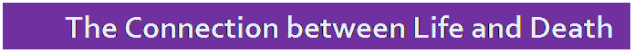 Text Box: The Connection between Life and Death
The Connection between Life and Death
 
